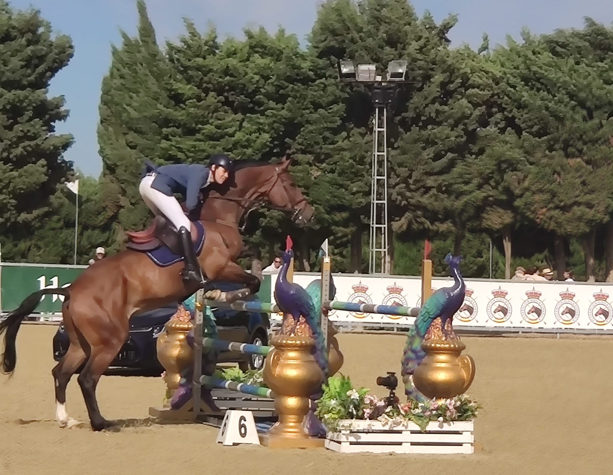 Presencia navarra en los Campeonatos de España de Salto de Obstáculos